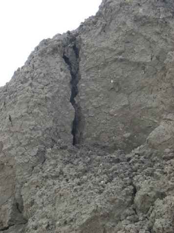  Atwick: 5 August 2011 